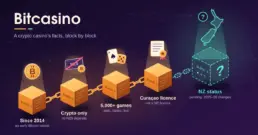 Bitcasino: Facts, Crypto Games, Licensing and NZ Status