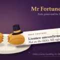Mr Fortune Casino: Facts, Games and the 2026 NZ Legal Picture