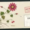 Wildz Casino NZ: Operator, Games and the 2026 Legal Picture