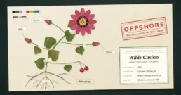 Wildz Casino NZ: Operator, Games and the 2026 Legal Picture